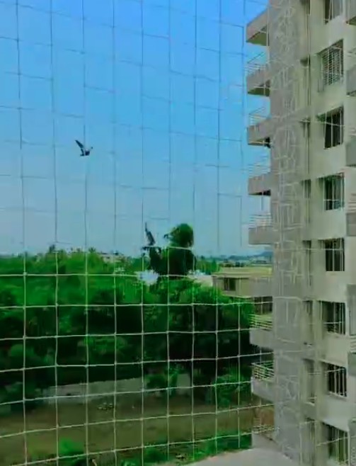 Safe and Durable Home Pigeon Netting by AS Enterprises